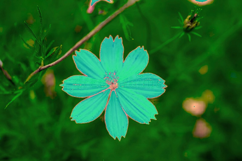 Protanopia example image from the CVD Correction extension project